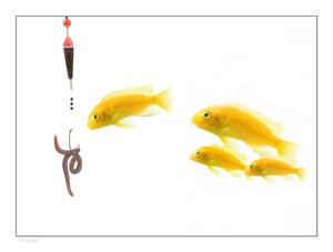 在线预测